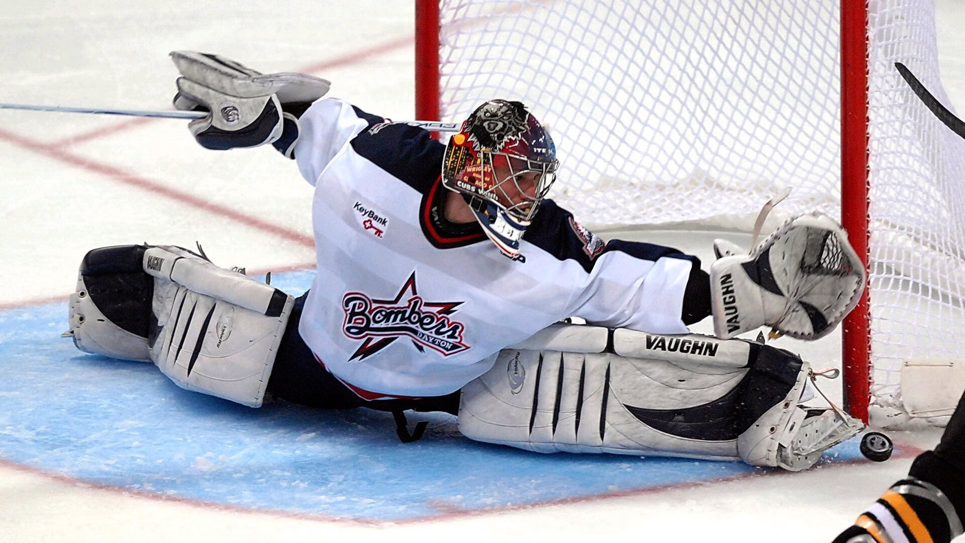 全美游泳锦标赛开幕，泳坛老将纷纷亮相赛场，2021全美游泳锦标赛