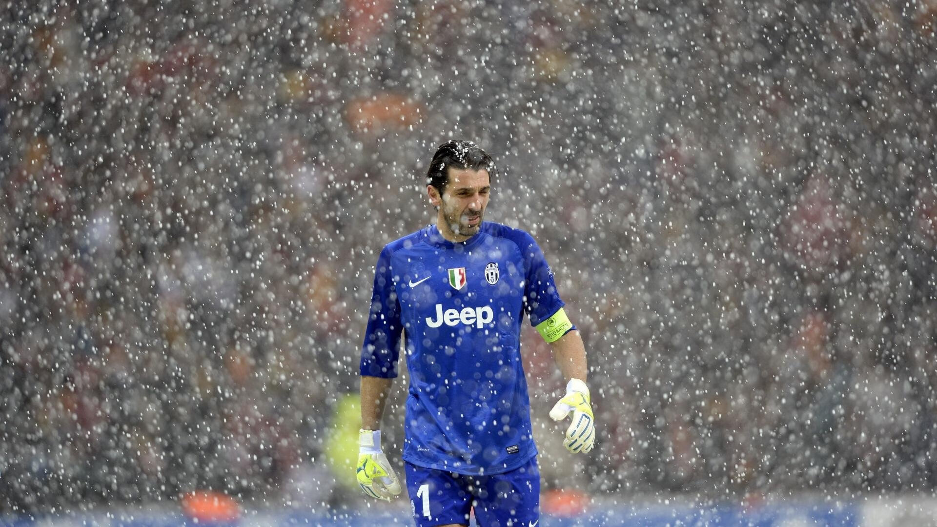 新秀爆发,未来之星崭露头角!,未来之星长什么样